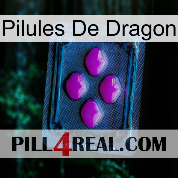 Dragon Pills 04